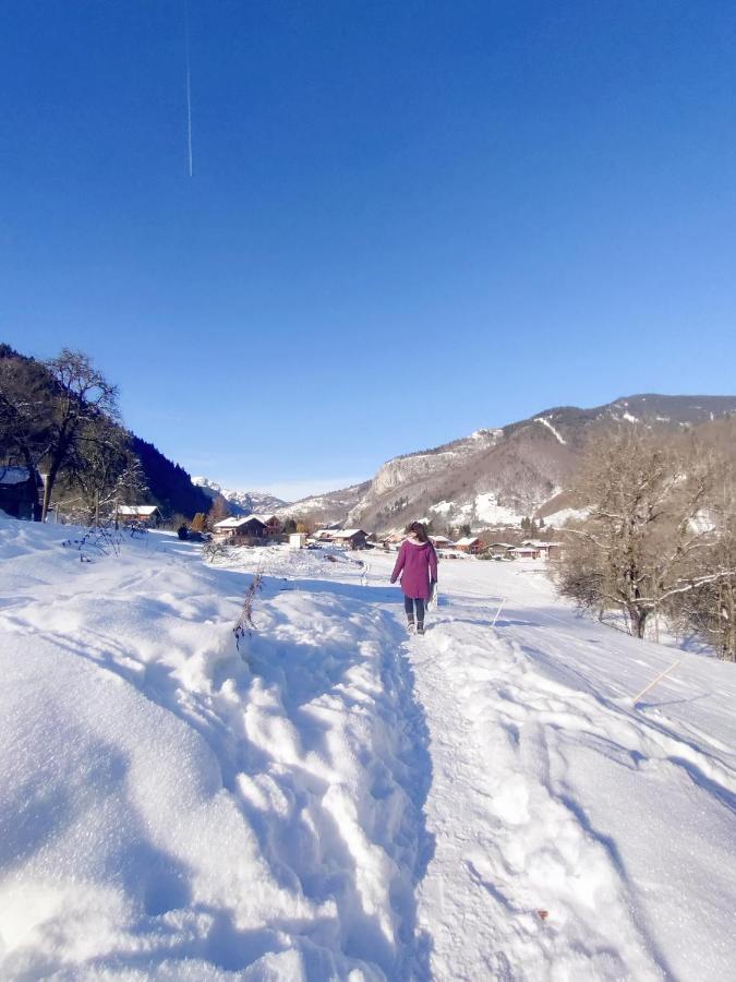 Appartement Cosy 3/4 Personnes A 5 Min Des Pistes. Saint-Jean-dʼAulps Eksteriør billede